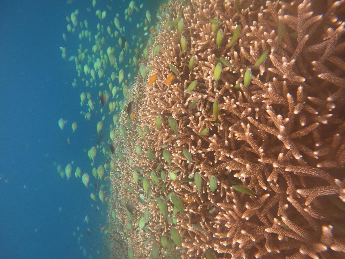 Maringo Cottage Gili Trawangan Kültér fotó