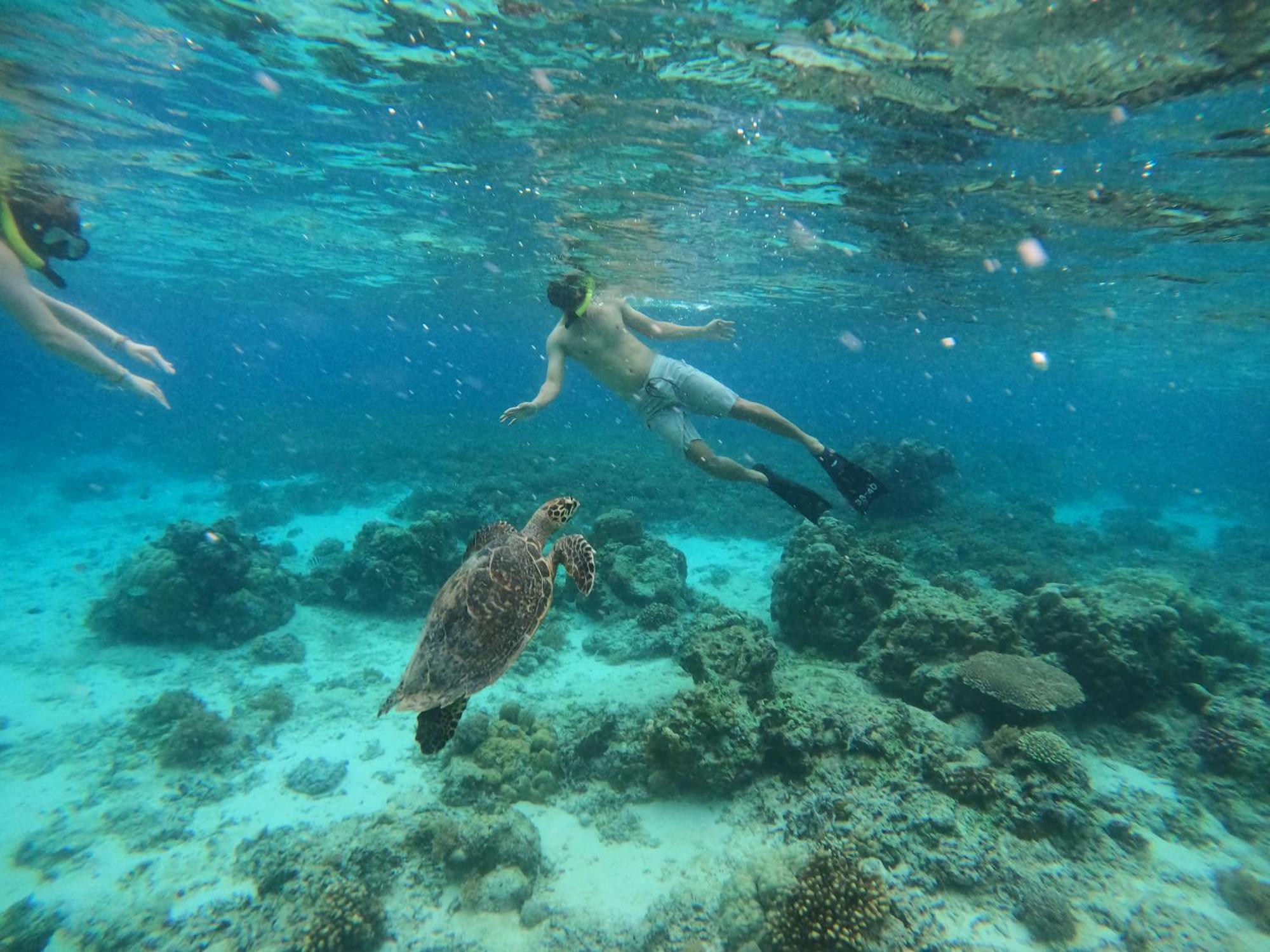 Maringo Cottage Gili Trawangan Kültér fotó